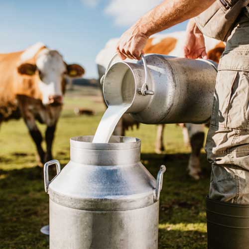 Dairy Materials Manufacturer GNC Agriculture